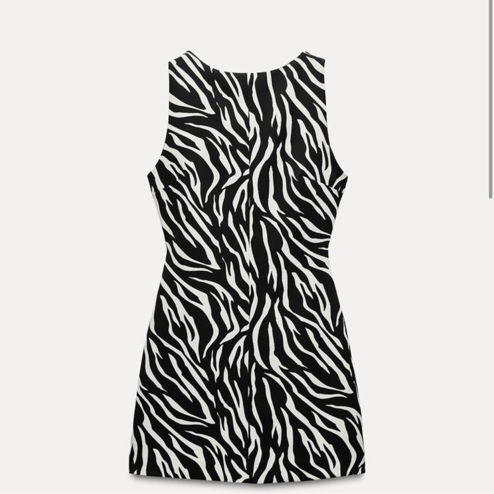 Zara zebra print dress